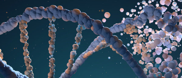 Render of DNA double-helix breaking up
